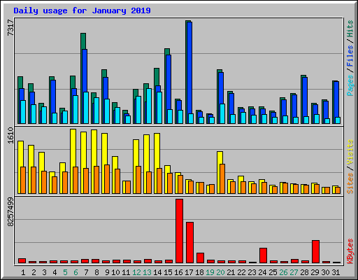 Daily usage for January 2019