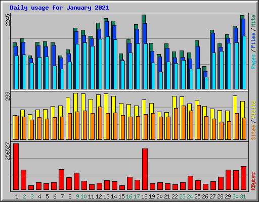 Daily usage for January 2021