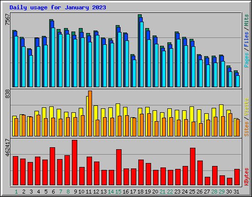 Daily usage for January 2023