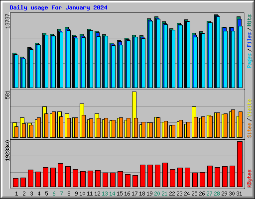 Daily usage for January 2024