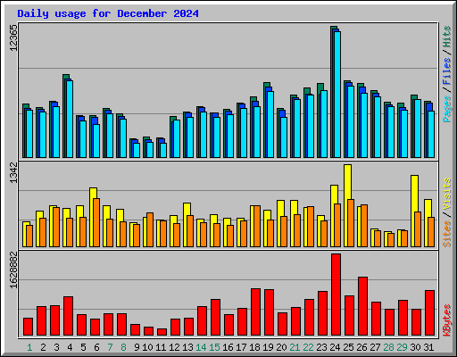 Daily usage for December 2024