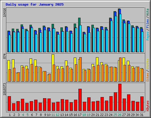 Daily usage for January 2025