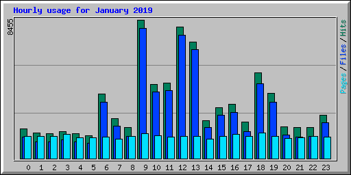 Hourly usage for January 2019