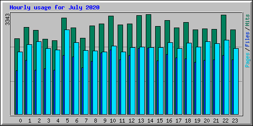 Hourly usage for July 2020