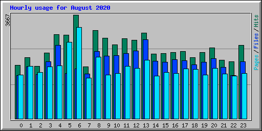 Hourly usage for August 2020