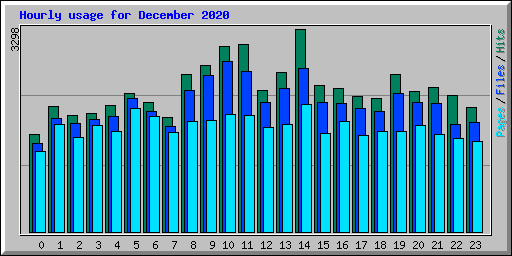 Hourly usage for December 2020