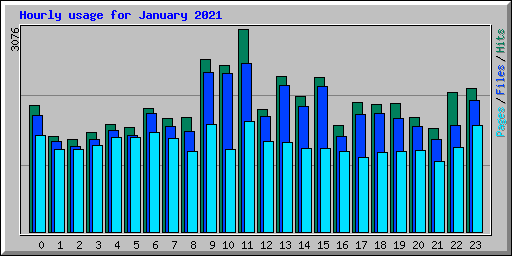 Hourly usage for January 2021
