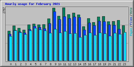 Hourly usage for February 2021