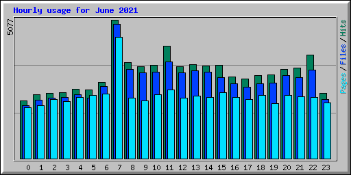 Hourly usage for June 2021