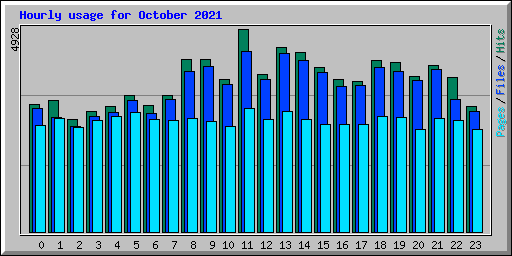 Hourly usage for October 2021