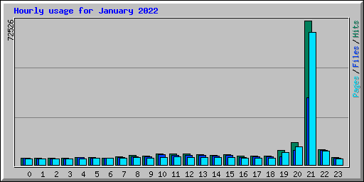 Hourly usage for January 2022