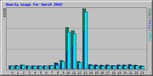 Hourly usage for March 2022