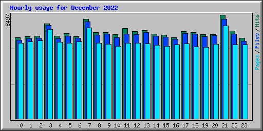 Hourly usage for December 2022
