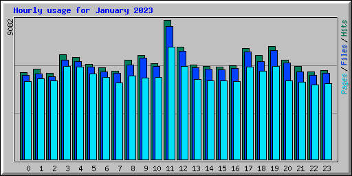 Hourly usage for January 2023