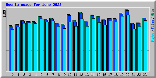 Hourly usage for June 2023