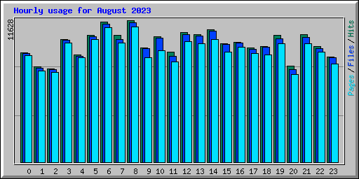 Hourly usage for August 2023