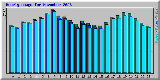 Hourly usage for November 2023
