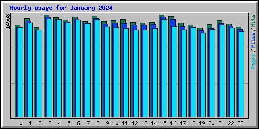 Hourly usage for January 2024