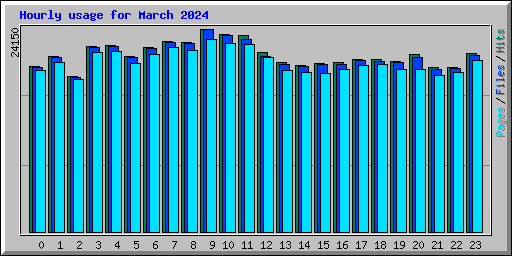 Hourly usage for March 2024