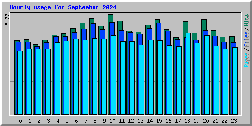 Hourly usage for September 2024
