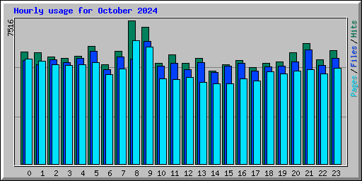 Hourly usage for October 2024