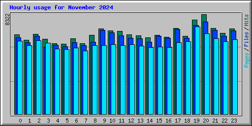Hourly usage for November 2024