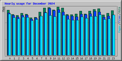 Hourly usage for December 2024
