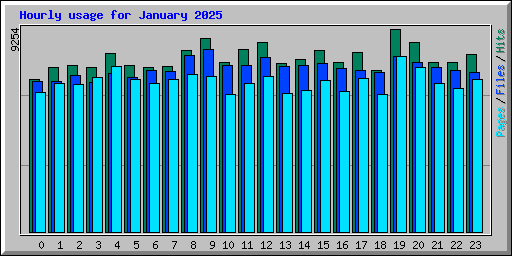 Hourly usage for January 2025