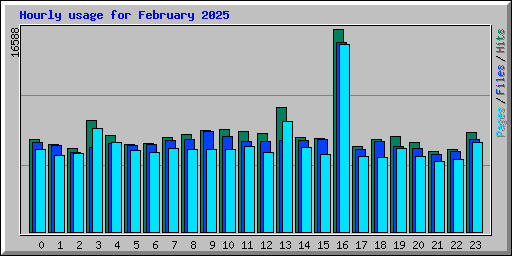 Hourly usage for February 2025
