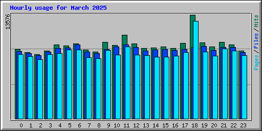 Hourly usage for March 2025
