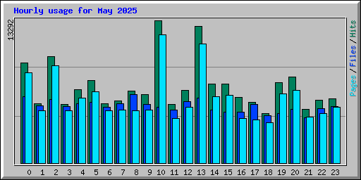 Hourly usage for May 2025