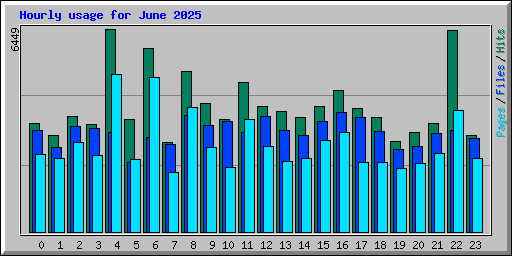 Hourly usage for June 2025