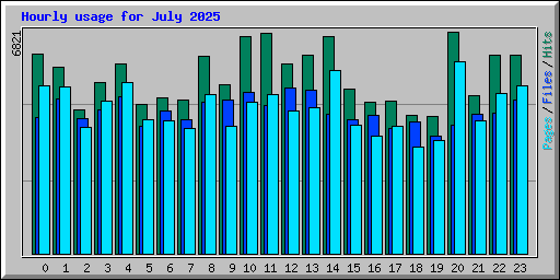 Hourly usage for July 2025
