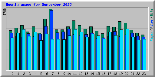 Hourly usage for September 2025