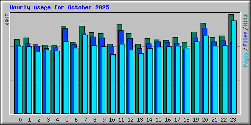 Hourly usage for October 2025